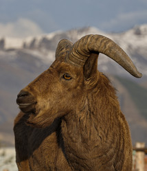 Similar image 21692129