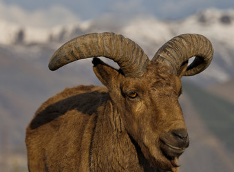 Similar image 21692131