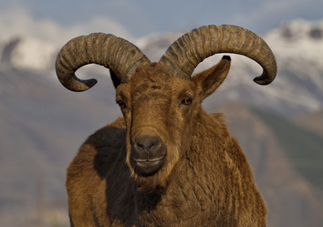 Similar image 21692133