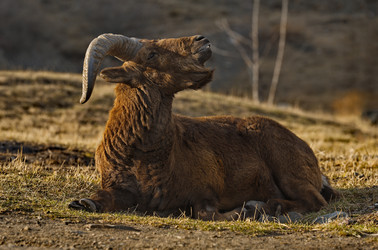 Similar image 21691671