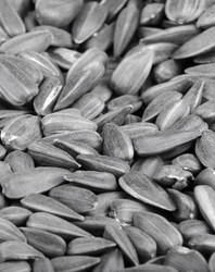 Similar image 21692992