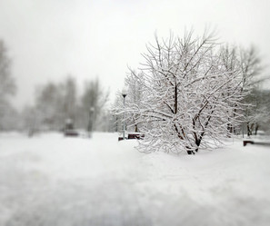 Similar image 21692997