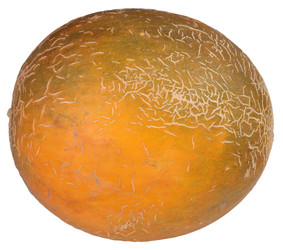 Similar image 21692998