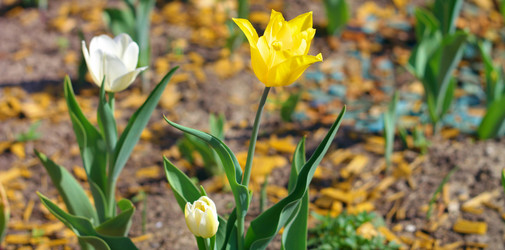 Similar image 21693004