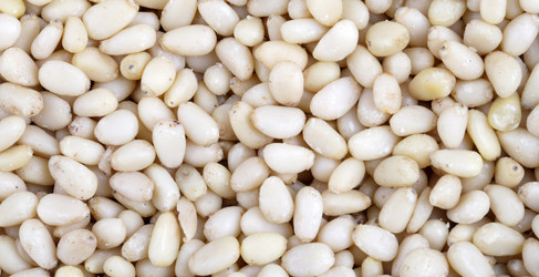 Similar image 21693006