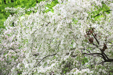 Similar image 21693007