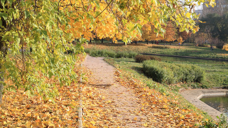 Similar image 21693009