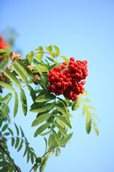 Similar image 21693019