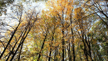 Similar image 21693021