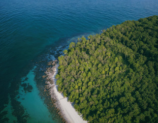 Similar image 21702130