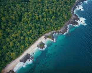 Similar image 21702135