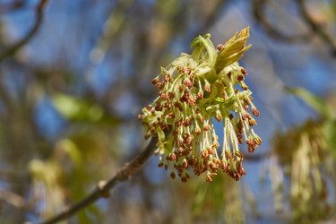 Similar image 21690715