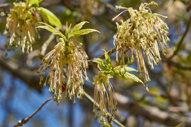 Similar image 21690716