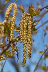 Similar image 21690717