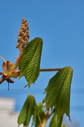 Similar image 21690722