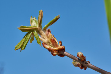 Similar image 21690725