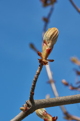 Similar image 21690726