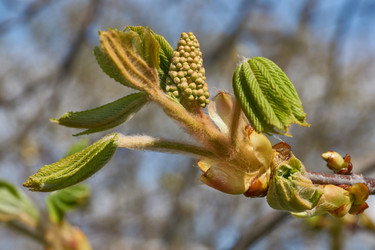 Similar image 21690729