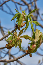 Similar image 21690738