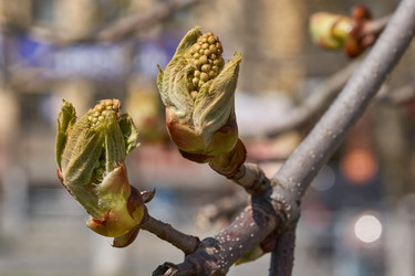 Similar image 21690739