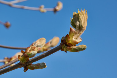 Similar image 21690742