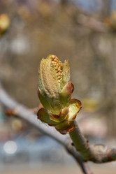 Similar image 21690743