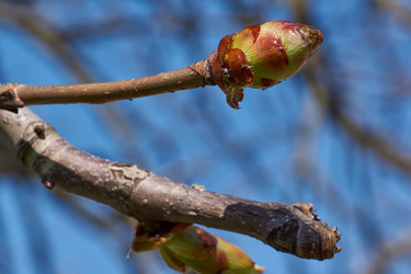 Similar image 21690744