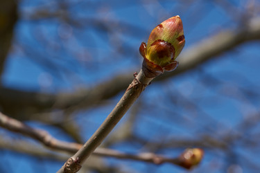 Similar image 21690745