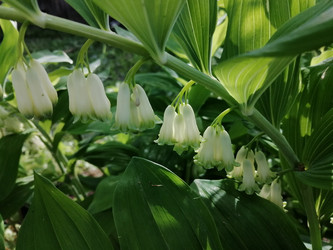 Similar image 21688562