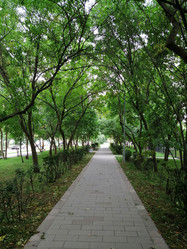 Similar image 21690104