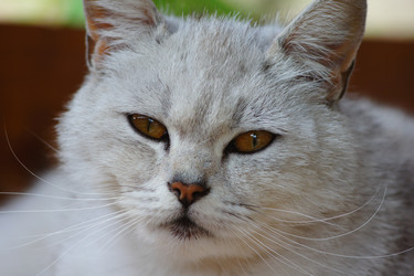 Similar image 21688571