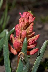 Similar image 21690517