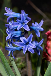 Similar image 21690518