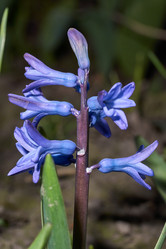 Similar image 21690519