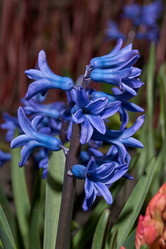 Similar image 21690520