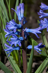 Similar image 21690521