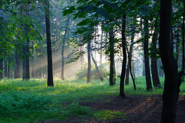 Similar image 21688578