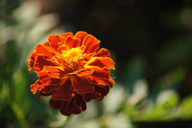 Similar image 21688579