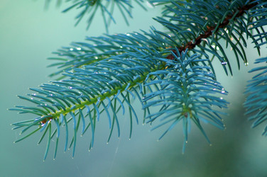 Similar image 21688580