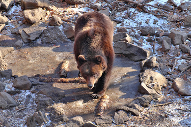 Similar image 21688585