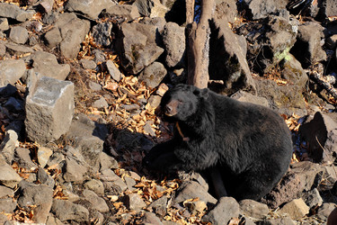 Similar image 21688586