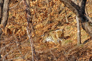 Similar image 21688587