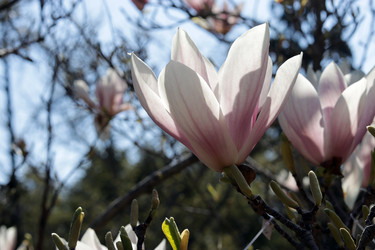 Similar image 21688591