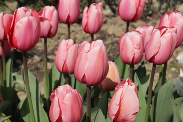 Similar image 21688592