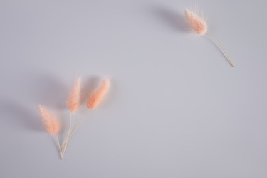 Similar image 21688607