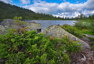 Similar image 21691709