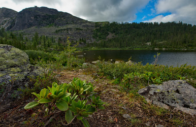 Similar image 21691718