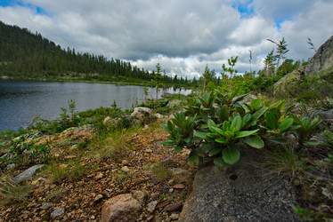 Similar image 21691719