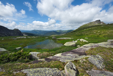 Similar image 21691722