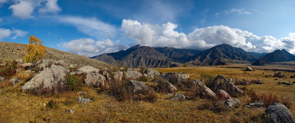 Similar image 21691725